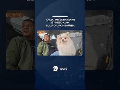 Homem é preso com lulu-da-pomerânia por se passar por investigador da Polícia Civil | #SBTManhã Homem é preso com lulu-da-pomerânia por se passar por investigador da Polícia Civil | #SBTManhã