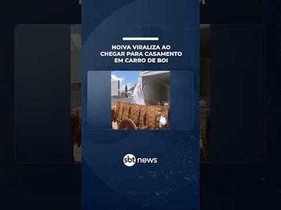 Noiva viraliza ao chegar para casamento em carro de boi | #SBTNotícias Noiva viraliza ao chegar para casamento em carro de boi | #SBTNotícias