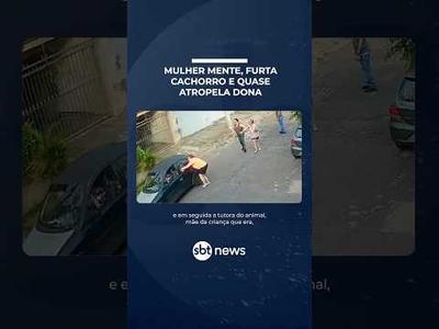 Após cachorro escapar, mulher mente, furta animal e quase atropela tutora | #SBTManha Após cachorro escapar, mulher mente, furta animal e quase atropela tutora | #SBTManha