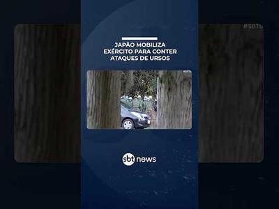 Japão envia tropas para conter ataques de ursos após 12 mortes | #SBTBrasil Japão envia tropas para conter ataques de ursos após 12 mortes | #SBTBrasil