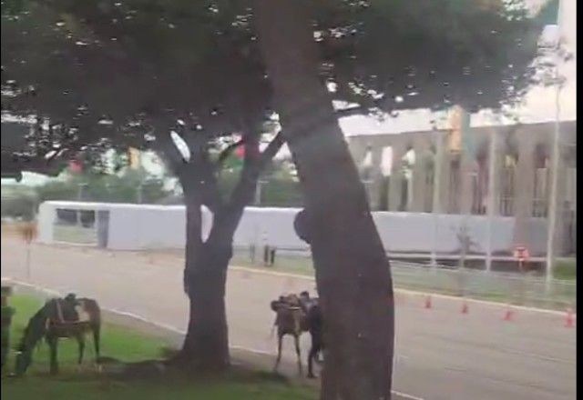 Imagem da noticia Túnel é montado em frente ao Itamaraty para receber presidente chinês