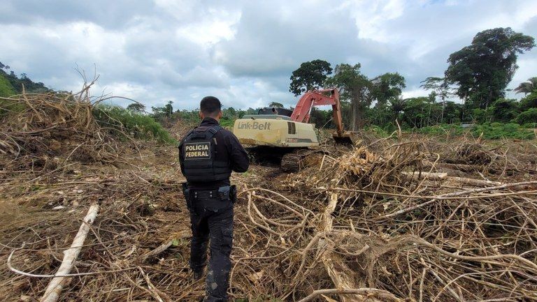 Imagem da noticia Operação Abre Alas interrompe garimpo ilegal de ouro e cobre no Pará