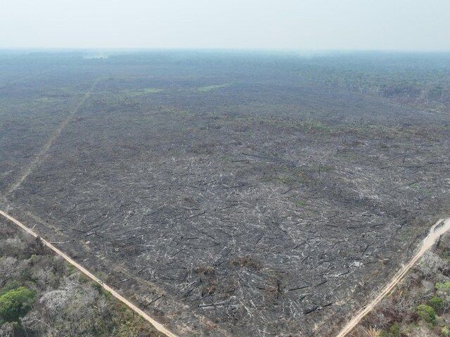 Imagem da noticia Polícia Federal prende dois suspeitos e identifica área de 950 hectares incendiada no Amazonas