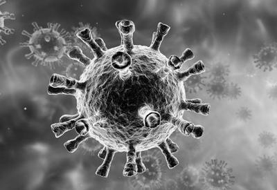 Covid-19: Brasil ultrapassa a marca de 170 mil mortes pela doença Covid-19: Brasil ultrapassa a marca de 170 mil mortes pela doença