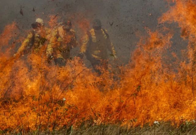 Imagem da noticia O agro que arde