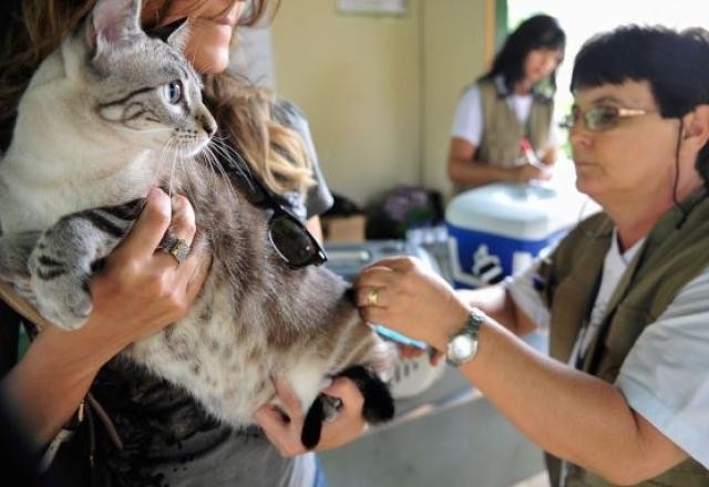 Imagem da noticia Adolescente vítima de raiva humana no DF está internado em UTI