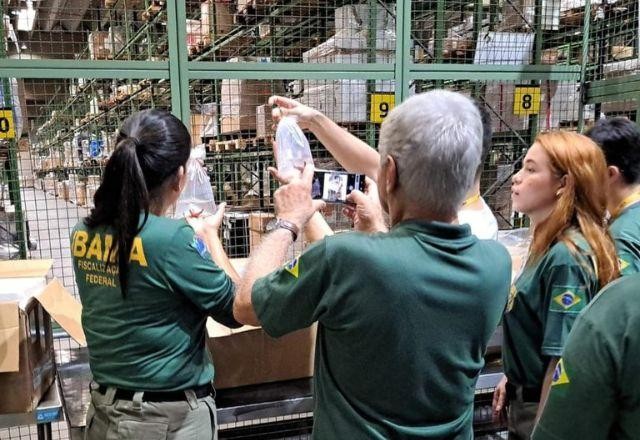 Imagem da noticia Cabeça de babuíno, bile de urso: Ibama apreende partes de animais mortos no Aeroporto de Guarulhos
