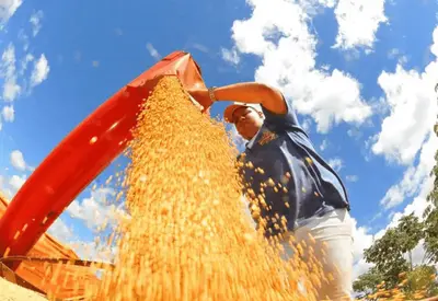 CNA prevê crescimento de 1% do PIB do agronegócio do Brasil em 2026 CNA prevê crescimento de 1% do PIB do agronegócio do Brasil em 2026
