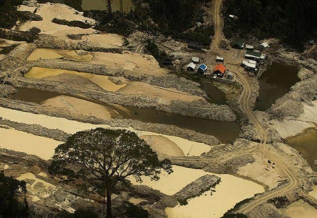 Imagem da noticia MPF reforça pedido para retirar invasores de terras indígenas de Roraima
