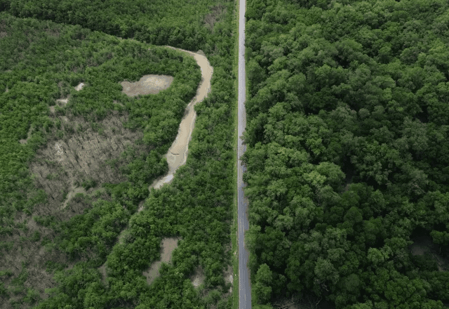 Imagem da noticia Desmatamento cai na Amazônia e registra menor patamar em 11 anos, aponta INPE