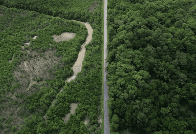 Desmatamento cai na Amazônia e registra menor patamar em 11 anos, aponta INPE Desmatamento cai na Amazônia e registra menor patamar em 11 anos, aponta INPE