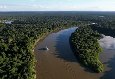 Brasil apresenta programa Florestas Produtivas como vitrine sustentável na COP30 Brasil apresenta programa Florestas Produtivas como vitrine sustentável na COP30