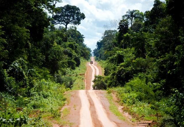 Imagem da noticia Plataforma aponta que 15 mil km da Amazônia estão sob risco de devastação
