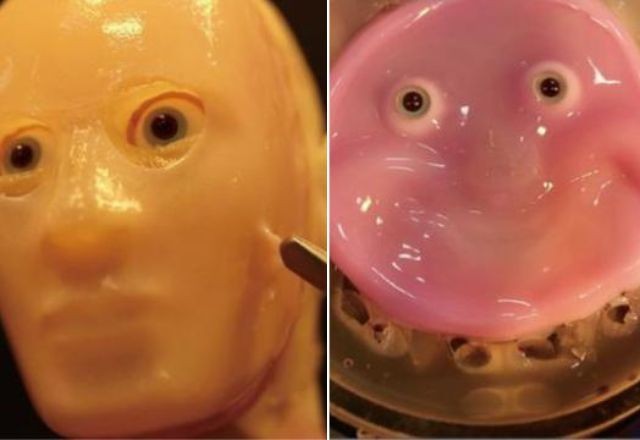 Imagem da noticia Cientistas do Japão criam "pele humana" para robôs