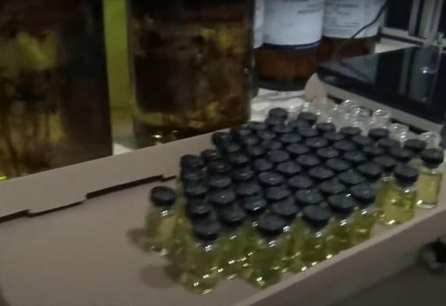 Imagem da noticia Carga de anabolizantes é apreendida em casa na zona norte de SP