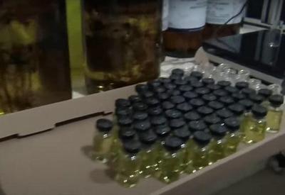 Carga de anabolizantes é apreendida em casa na zona norte de SP Carga de anabolizantes é apreendida em casa na zona norte de SP