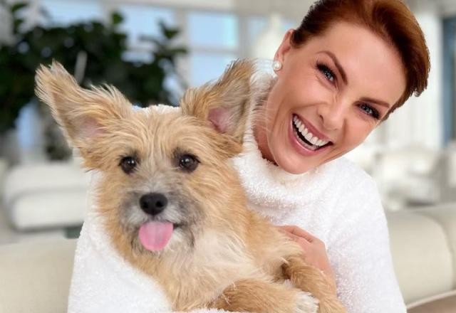 Imagem da noticia Joaquim: cachorro que defendeu Ana Hickmann foi resgatado da rua