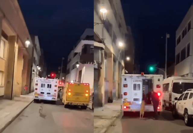 Imagem da noticia VÍDEO: Cachorro corre atrás de ambulância em que seu tutor estava sendo transportado, na Colômbia