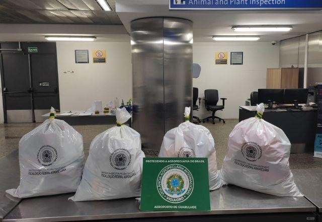 Imagem da noticia Fiscalização apreende 100 kg de embutidos no aeroporto de Guarulhos