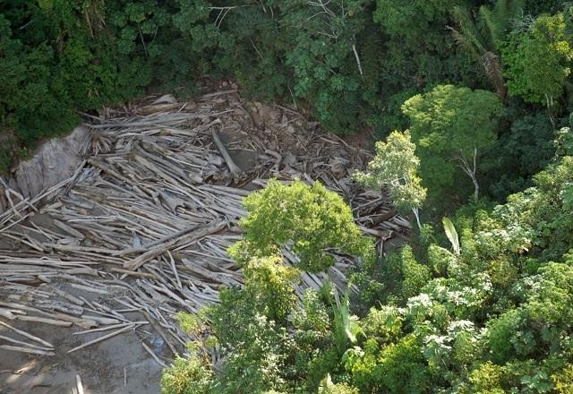 Imagem da noticia Justiça Federal bloqueia R$ 95,6 milhões em bens de desmatadores da Amazônia