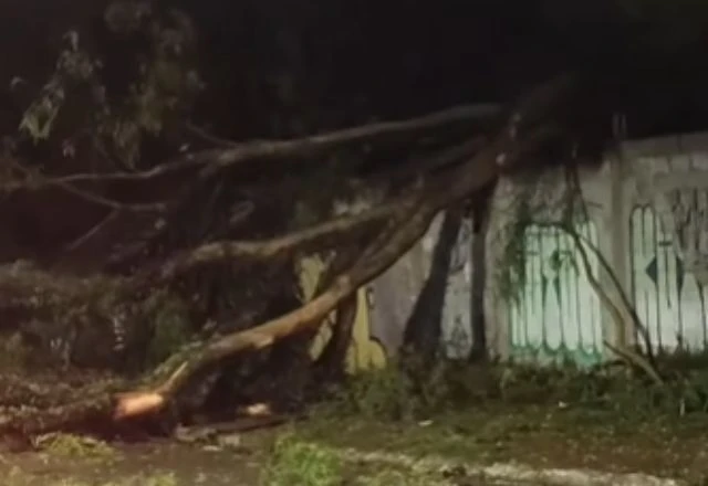 Imagem da noticia Ventania e chuva deixam 205 mil sem luz em São Paulo