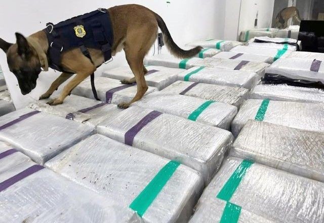Imagem da noticia PRF apreende três toneladas de maconha em caminhão frigorífico no Rio de Janeiro