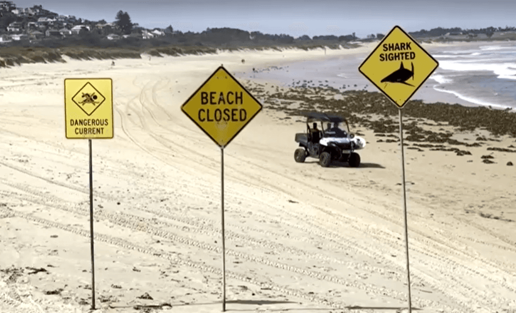 Imagem da noticia Austrália registra quatro ataques de tubarão em 48h e fecha praias em Sydney