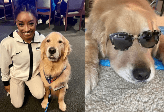 Imagem da noticia Beacon, o cão terapeuta das ginastas dos EUA: como cachorros podem ajudar a cuidar da saúde mental?