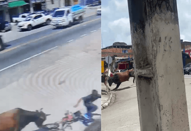 Imagem da noticia Boi acerta mulher depois de partir para cima de criança em Satuba (AL)