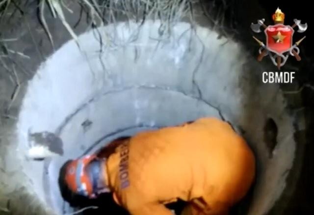 Imagem da noticia Chacina de família: corpos encontrados podem ser de últimos desaparecidos