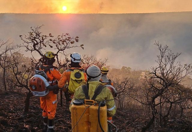 Imagem da noticia Incêndio atinge a Serra de São José, área de proteção ambiental em Minas Gerais