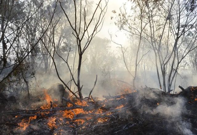 Imagem da noticia Defensoria Pública da União cria comitê para reduzir impactos de incêndios no país