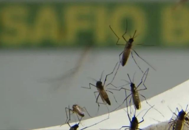 Imagem da noticia EUA emitem alerta de saúde para viagens ao Brasil por causa da dengue e febre oropouche