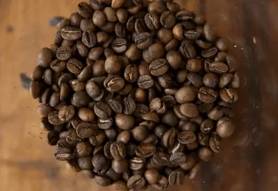 Revogação de tarifas dos EUA: Amcham vê "efeitos imediatos para competitividade de empresas brasileiras" Revogação de tarifas dos EUA: Amcham vê "efeitos imediatos para competitividade de empresas brasileiras"