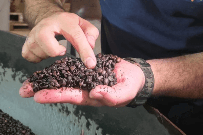 Imagem da noticia Os preços que mais subiram em 2025: do Uber e 99 ao café