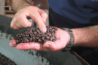 Os preços que mais subiram em 2025: do Uber e 99 ao café Os preços que mais subiram em 2025: do Uber e 99 ao café