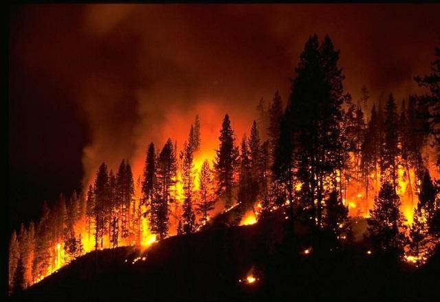 Imagem da noticia Termômetros batem recorde e europeu sofre com calor de 40°C