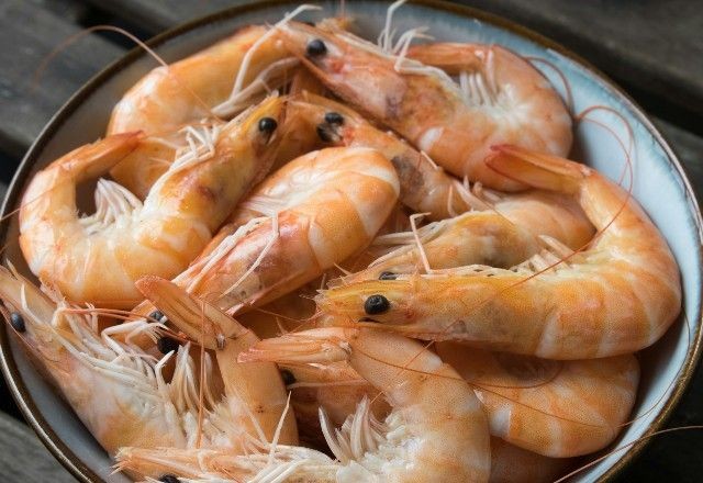Imagem da noticia Período de defeso dos camarões tem início em 5 estados