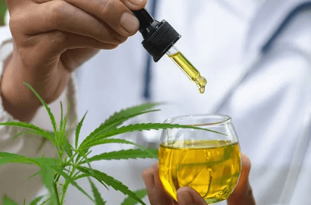 Imagem da noticia Anvisa aprova novas regras para uso de cannabis medicinal no Brasil