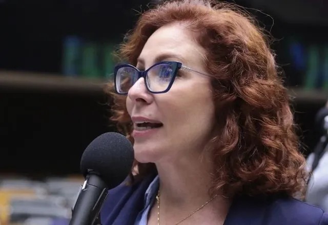 Imagem da noticia Relator apresenta parecer e defende manutenção do mandato de Carla Zambelli