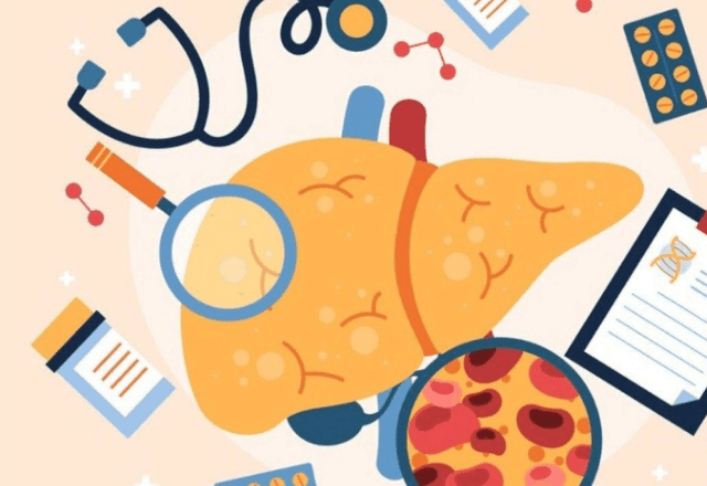 Imagem da noticia Câncer de fígado pode quase dobrar até 2050, mas 3 em cada 5 casos são evitáveis, diz estudo