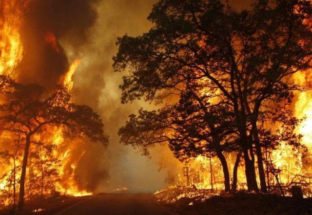 Imagem da noticia Brasil integra missão humanitária para combater incêndios florestais no Canadá