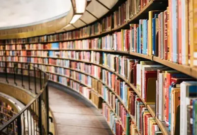 Dia da Educação: acesso a livros ainda é desafio no Brasil Dia da Educação: acesso a livros ainda é desafio no Brasil