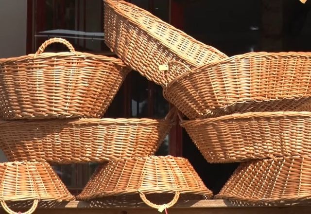 Imagem da noticia Serra Catarinense produz 90% do vime do Brasil