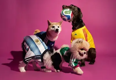 Adidas lança camisas da Copa do Mundo de 2026 para cachorros Adidas lança camisas da Copa do Mundo de 2026 para cachorros