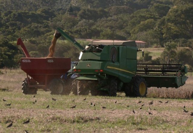 Imagem da noticia Rio Grande do Sul pode ter safra recorde de grãos em 2025/26