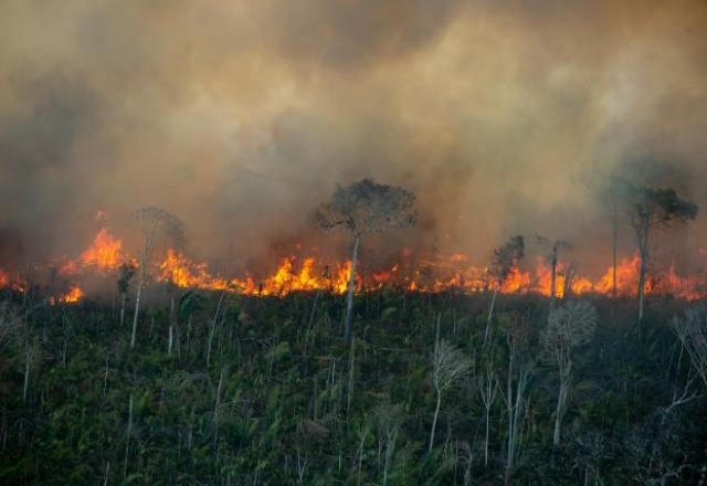 Imagem da noticia Devastação do fogo na floresta Amazônica é flagrada por Greenpeace