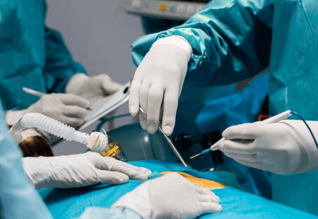 Imagem da noticia Como é feita a avaliação dos órgãos que serão transplantados no Brasil?