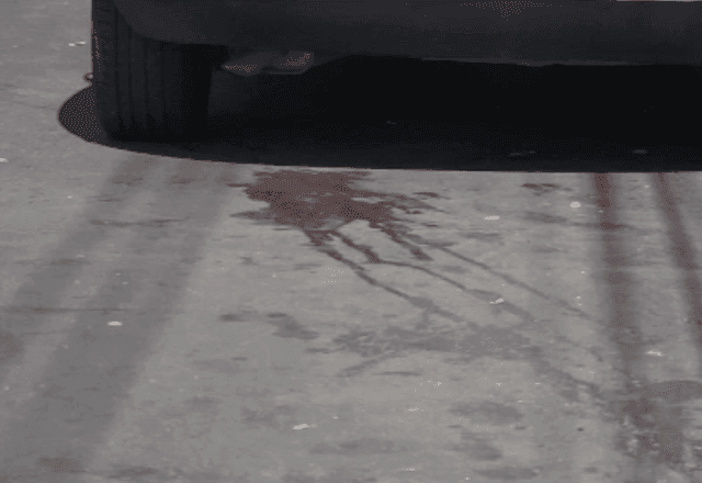 Imagem da noticia Ataque a tiros em bar deixa um morto e nove feridos em Ibirité (MG)