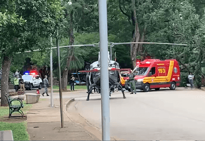 Mulher sofre traumatismo craniano após queda de árvore no Parque Ibirapuera Mulher sofre traumatismo craniano após queda de árvore no Parque Ibirapuera